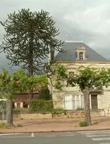 Domaine avec arbres