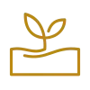 Icon plante Icon plante